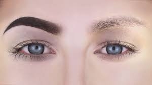 Love your Eyebrows